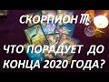 СКОРПИОН♏ ЧТО ВАС ПОРАДУЕТ 🥰 ДО КОНЦА 2020 ГОДА?