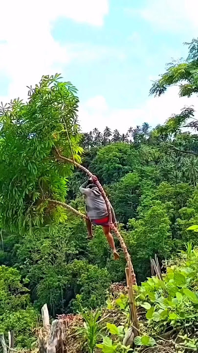 Mau ketawa takut dosa video lucu bikin ngakak hiburan warga 62 #lucu #funny #ngakak #videolucu #meme