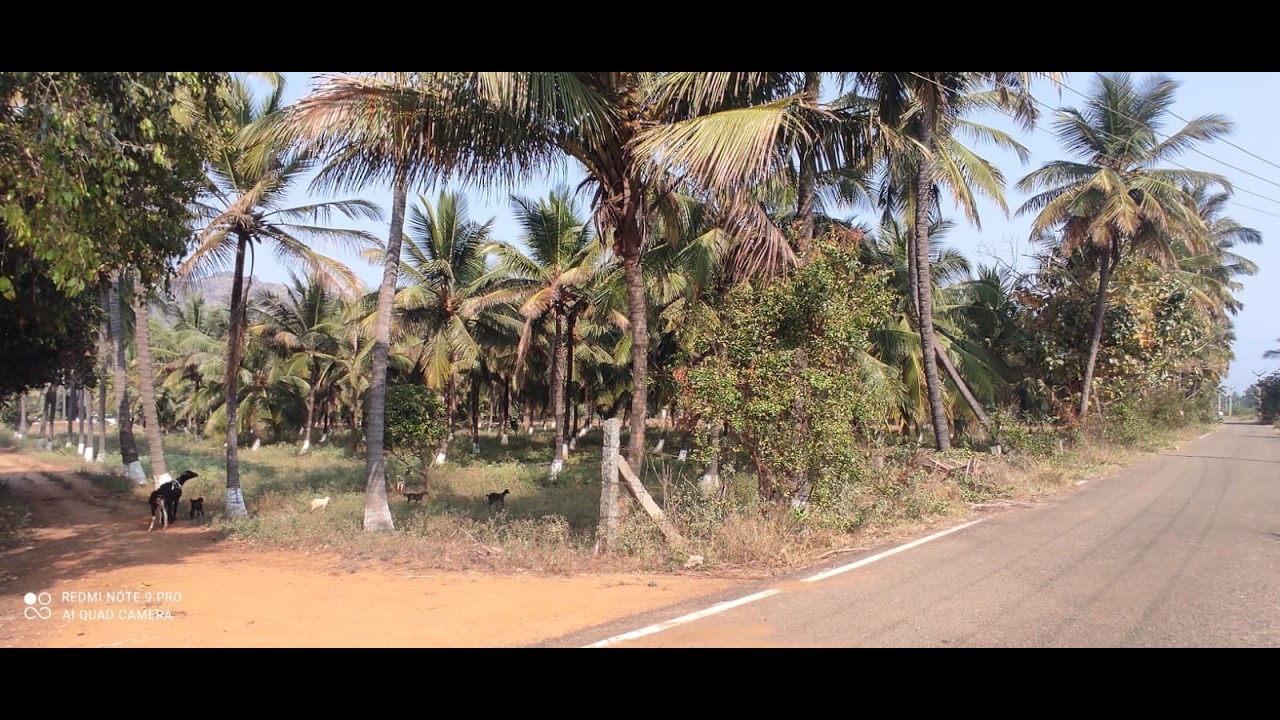 COIMBATORE SENNANUR MATTIPALROAD NEAR 2.75-AGRES AGRI LAND SALE 1 AGRES Rs-2 CROSS NEGOTIABLE