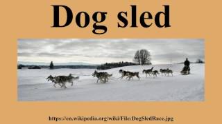 Dog sled