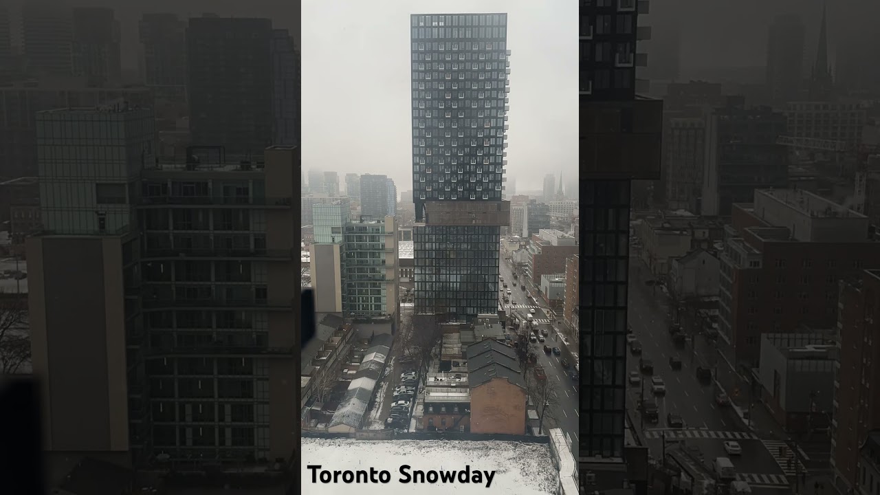 Toronto Snowday Timelapse 