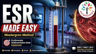 ESR Test Made Easy || Erythrocyte Sedimentation Rate Explained ll PATHOGENESIS ll #Barman_Sir