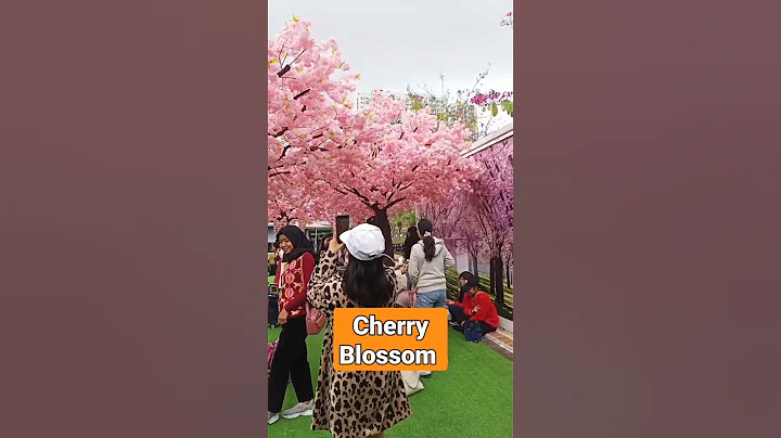 Cherry Blossom|Peach blossom lucky flowers #trending #shorts #satisfying - DayDayNews