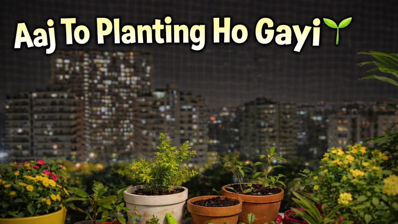 Aaj Plants Ki Bari 🌱🌵ll 147 ll