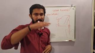 English Velar Plosives