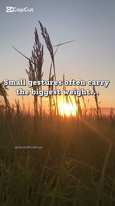 It’s the little things that matter most.#shorts #smallgestures #lifelessons