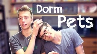 Dorm Room Pets