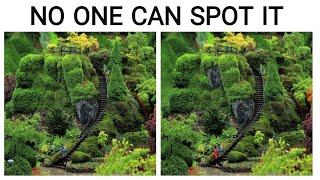 Spot the difference : Can you find them all ( find the difference #231 )