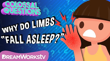 Why Do Body Parts “Fall Asleep”? | COLOSSAL QUESTIONS