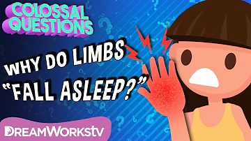 Why Do Body Parts “Fall Asleep”? | COLOSSAL QUESTIONS