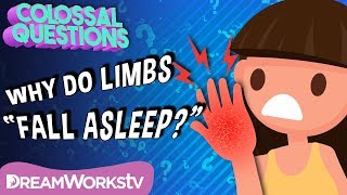 Why Do Body Parts “Fall Asleep”? | COLOSSAL QUESTIONS
