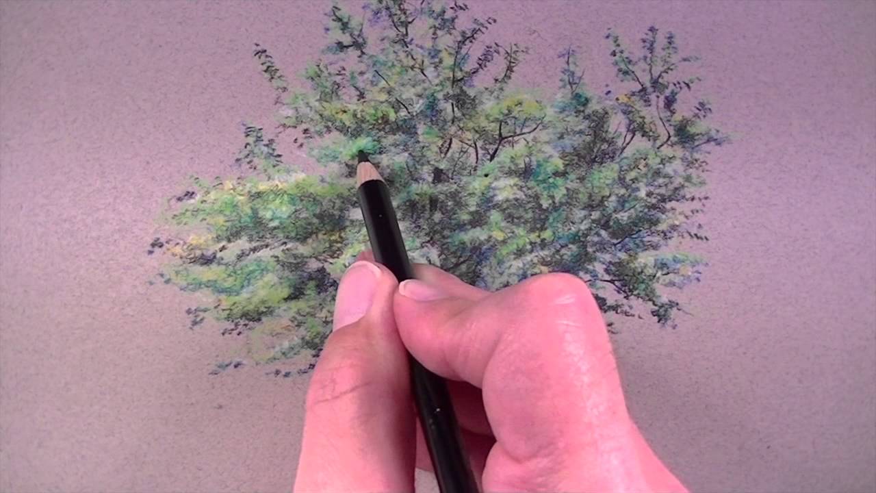 How To Draw A Tree With Colored Pencils