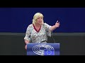 Hilde Vautmans debates EU-Turkey relations and European Parliament report