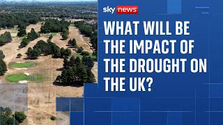 Bake Britain: What will be the consequences of England's record-breaking drought?
