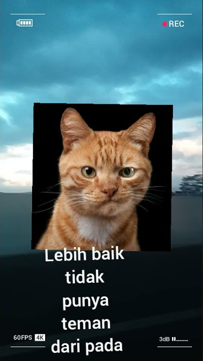 story wa sad boy tidak punya teman