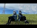 【しいたけ＆あられ】とてと　踊ってみた【オリジナル振付】