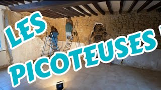 PROJET RÉNOVATION - S2-E05 - En avant les picoteuses !