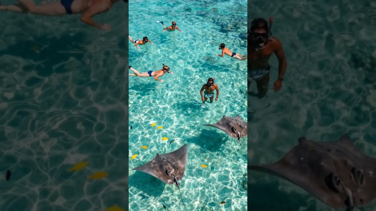3 Cheap Islands for Epic Snorkeling Adventures