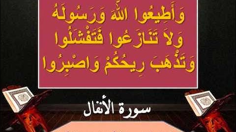 سورة الانفال الاية  ∎◄ 46►∎