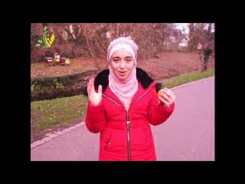 أصل الكلمة البرتقال الحلقة الثانية
