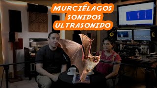 Charla sobre sonidos y ultrasonidos de murciélagos / Dra. Cristina Mac Swiney