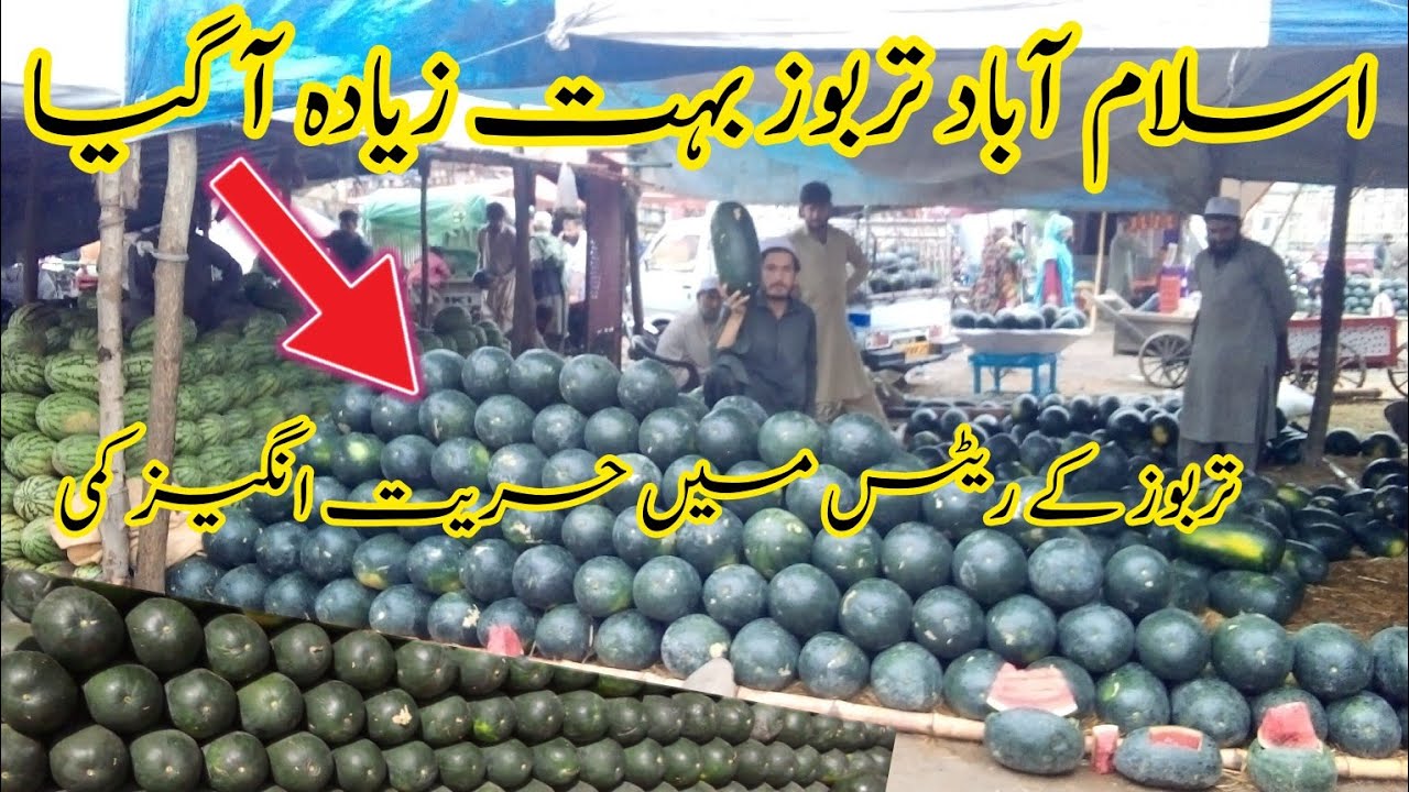 Eid Special Video l Watermelon Rate To In Pakistan l Today Fruit Rates