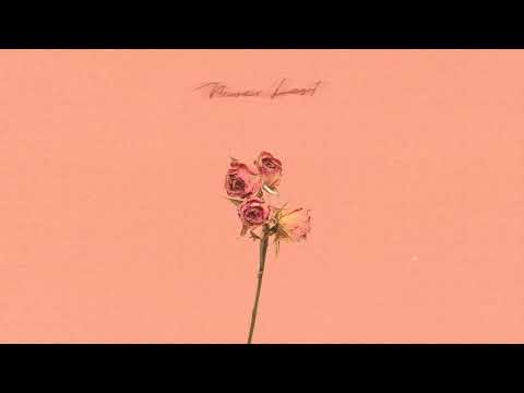 Rowlan - Never Last (audio) (w Verum)