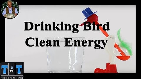 2243 Dipping (Drinking) Bird Toy - The Clean Energy Future?