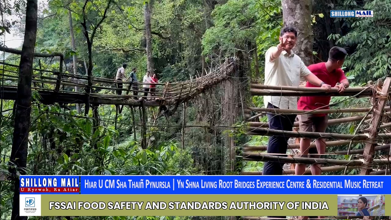 View of Hiar U CM Sha Pynursla | Yn Shna Living Root Bridges Experience Centre ...