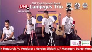 MOGI YE////Covered by Lamjeges Trio