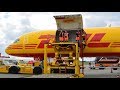 How to Offload a B757 Cargoplane | DHL Boeing 757F | D-ALEN | Luchtvaartdag 2017