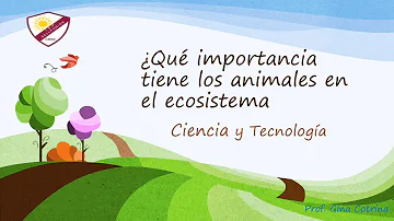 ¿Qué es y cómo funciona un ecosistema?