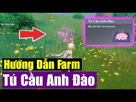 Hướng Dẫn Farm Tú  Cầu Anh Đào - Đột Phá Ayaka - Genshin Impact