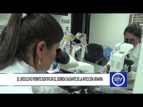 Vídeo: Infecció Urinària Bacteriana En Rates