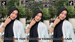 DJ SOUND MENGKANE SAMA TEMAN GOYANG DUMANG VIRAL TIK TOK YANG KALIAN CARI (Slowed & Reverb)🎧