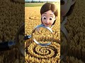 Crop Circle Là Do Người Ngoài Hành Tinh Hay Con Người Tạo Ra