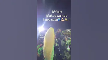 Dogo Paten Next Vibes477 Fashion 