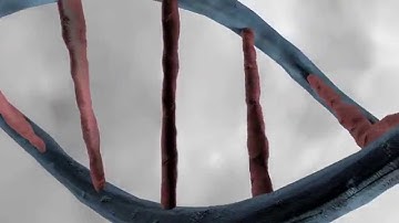 Cinema 4d tutorial DNA