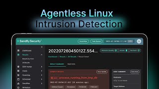 Agentlessly find and analyze Linux malware in seconds.