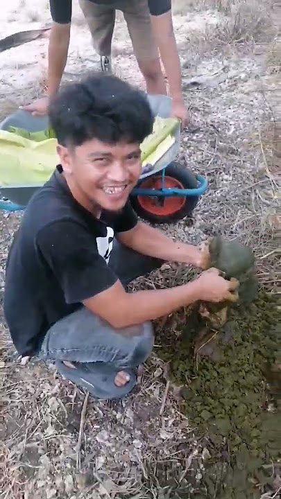 abang main taik dik #viralvideo #shortvideo #malaysia #tranding