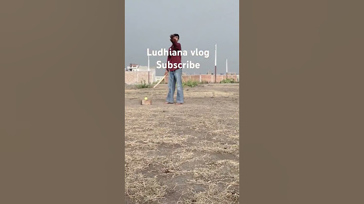 Blueberries and Capybaras in Hay Day?!   ludhiana vlog number2 #song2