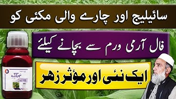 How to control Fall Armyworm in Maize silage/fodder | Crop Reformer