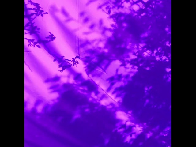 The wind passes by ...