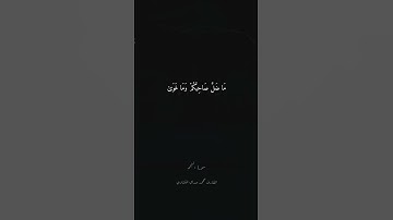 وَالنَّجْمِ إِذَا هَوَىٰ | القارئ محمد صديق المنشاوي