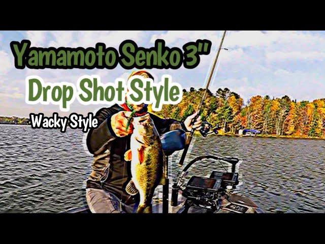 Drop Shot fishing for largemouth bass w/ Yamamoto Senko 3” 