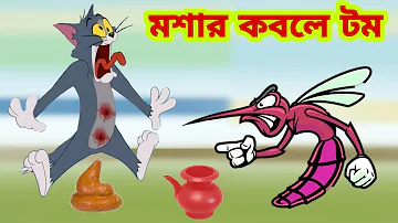 Tom and Jerry | Tom and Jerry Bangla | cartoon | Tom and Jerry cartoon | Bangla Tom and Jerry