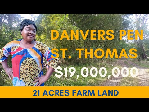 Drive to Danvers Pen St Thomas  - 21 Acre Farm Land