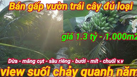 Cần bán gấp 6.000 m2 vườn cây ăn trái view suối giá 1 tỷ 300 triệu sào.