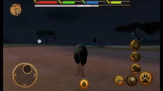Another clip of Ultimate Lion Simulator part 5 (become a real lion)