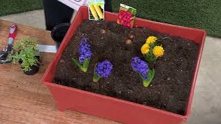 Ultimate Innovations Garden Buddy Multi-Function Garden Tool on QVC